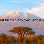 The Intrepid IMSG Team Takes on Kilimanjaro for a Cause!