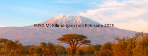 Read more about the article The Intrepid IMSG Team Takes on Kilimanjaro for a Cause!