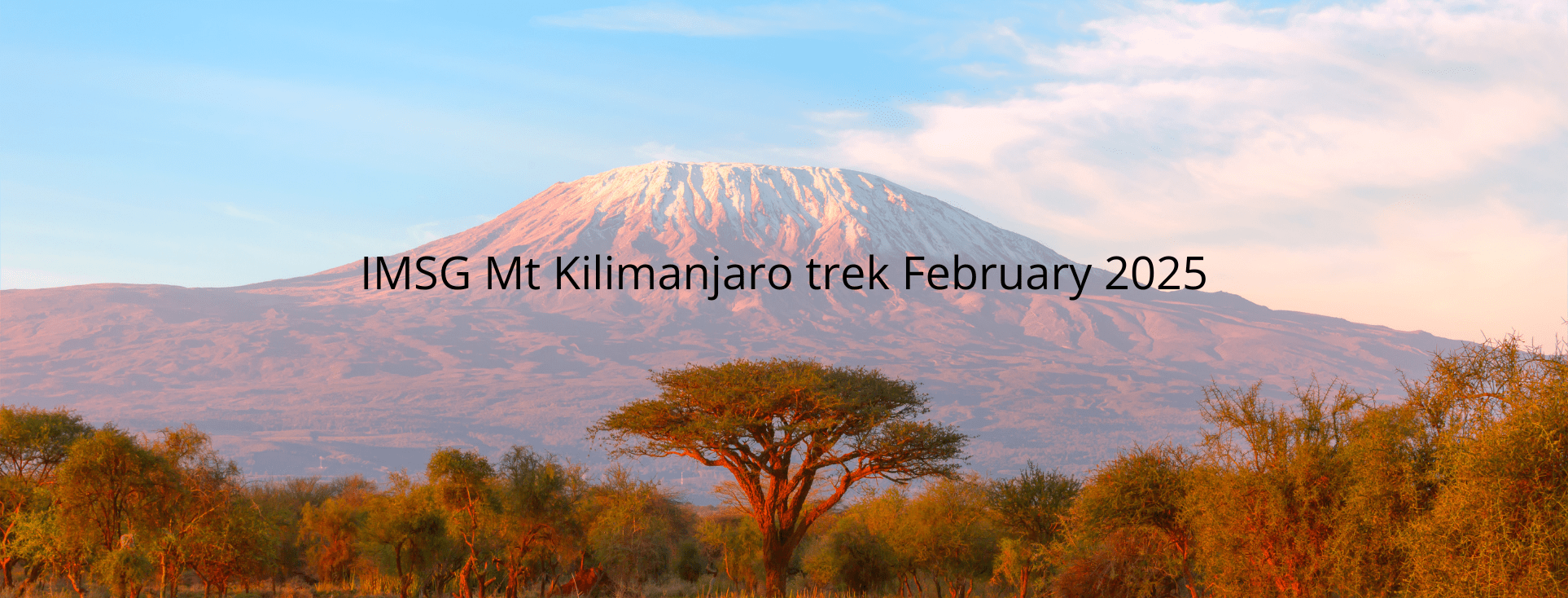 You are currently viewing The Intrepid IMSG Team Takes on Kilimanjaro for a Cause!